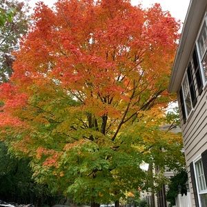 Meet your Posher, Steph